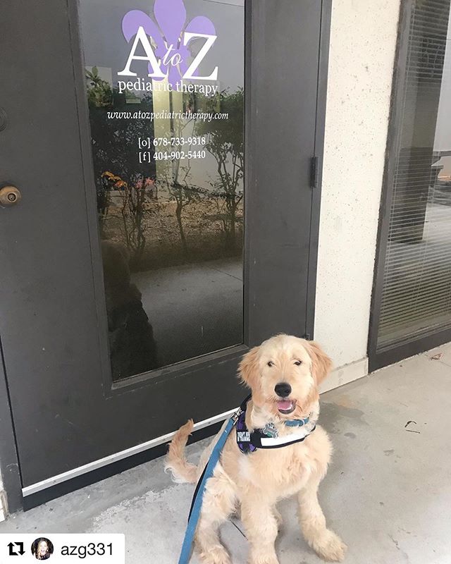Charlie wore his new โTherapy Dog In Trainingโ vest to work today! ๐ถ๐พ๐