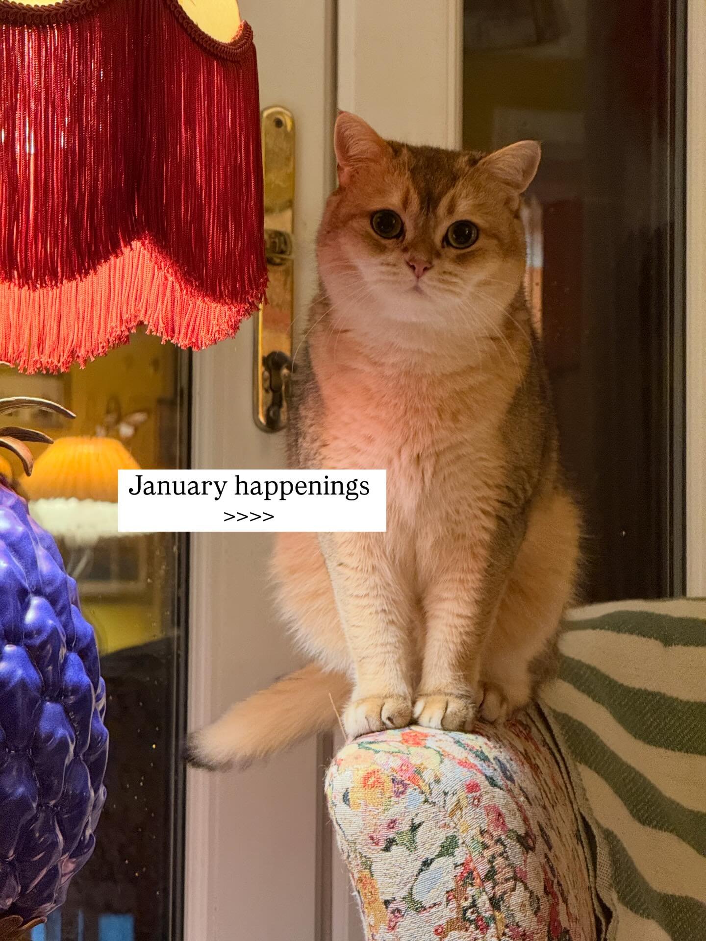 All the fun and inspiration to start the year ✨💕🎨🖼️

Stop hating on January and go and have some fun x