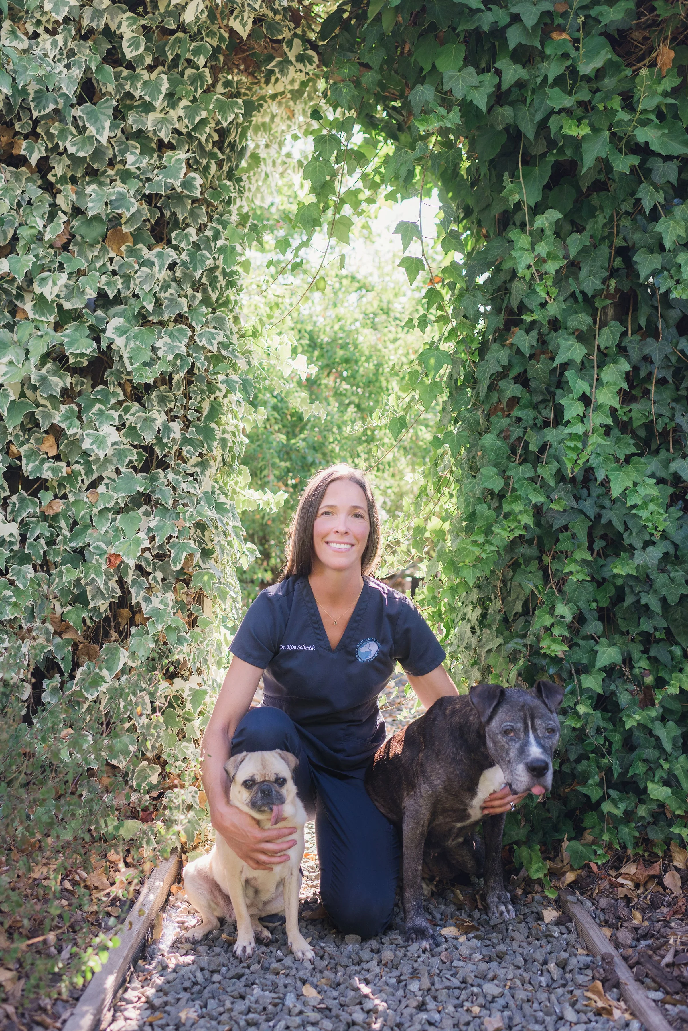Napa Valley Holistic Veterinary ServicesHolistic Telemedicine