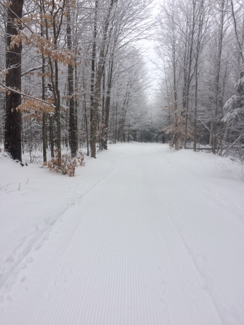 Facing the other direction from our FaceBook "Name this Trail" feed from yesterday.
