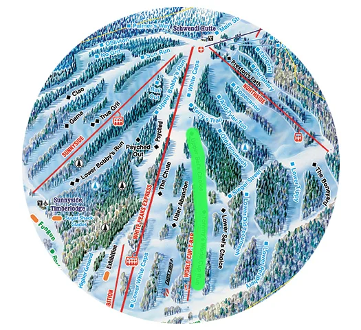 Slalom Course