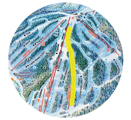 Giant Slalom Course