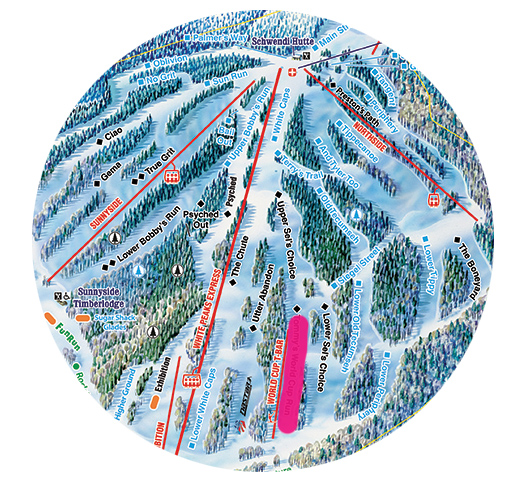 Parallel Slalom Course