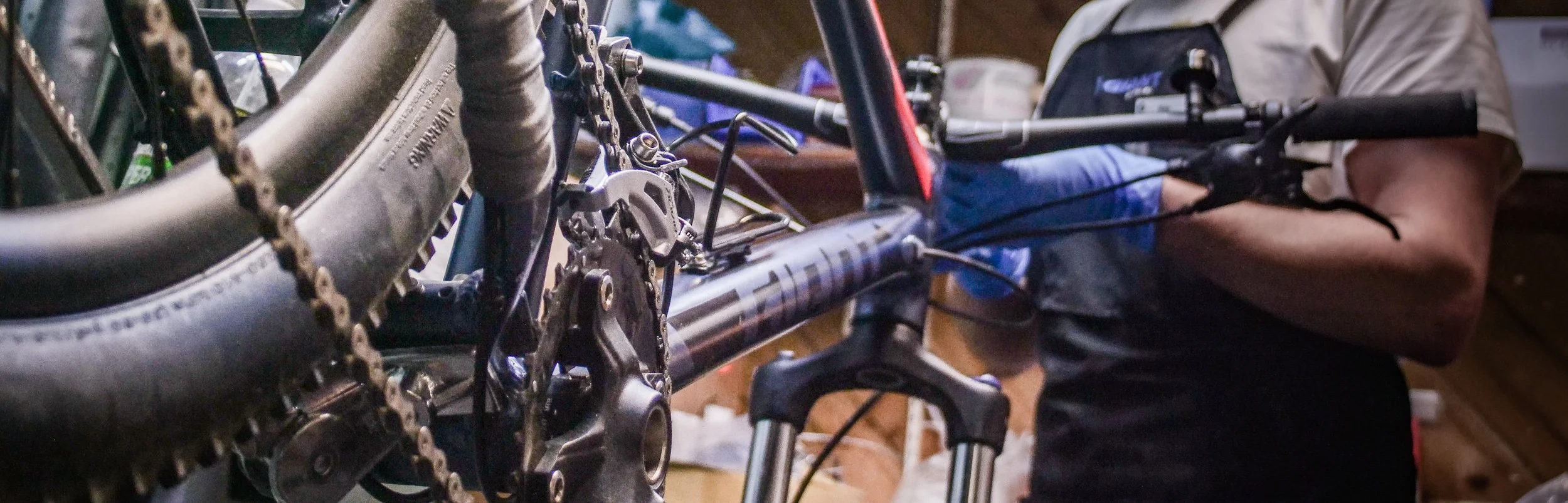 mountain bike service