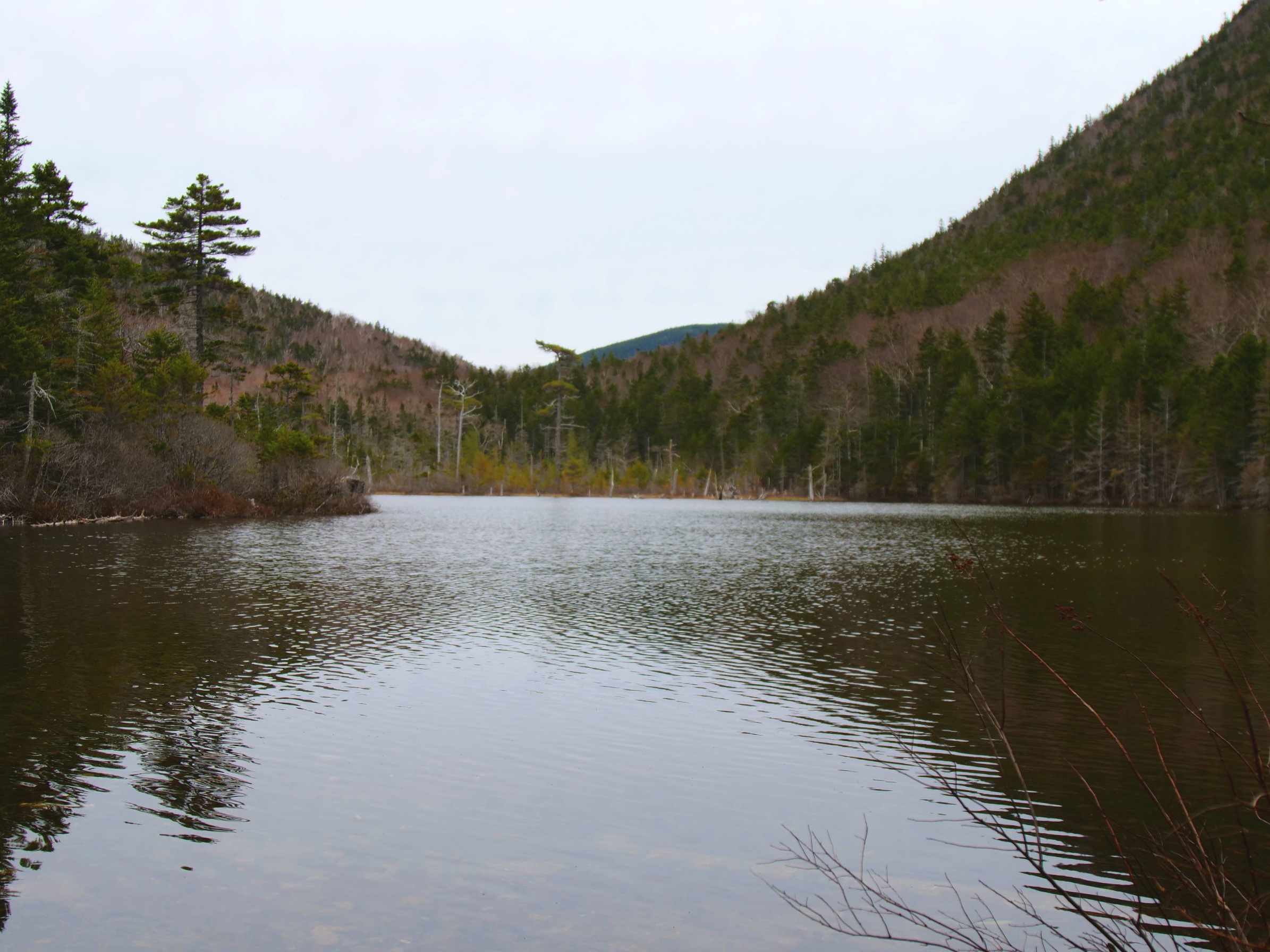 P1255168.jpg