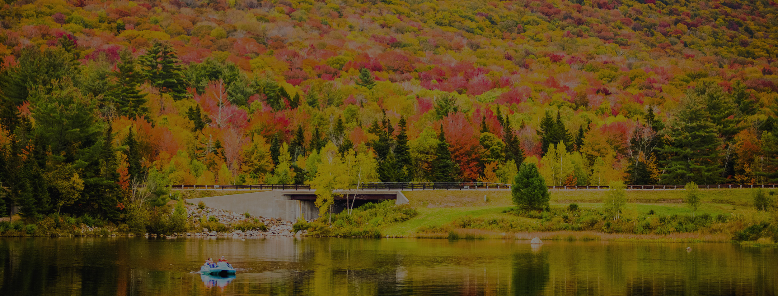 colorpond_web.jpg