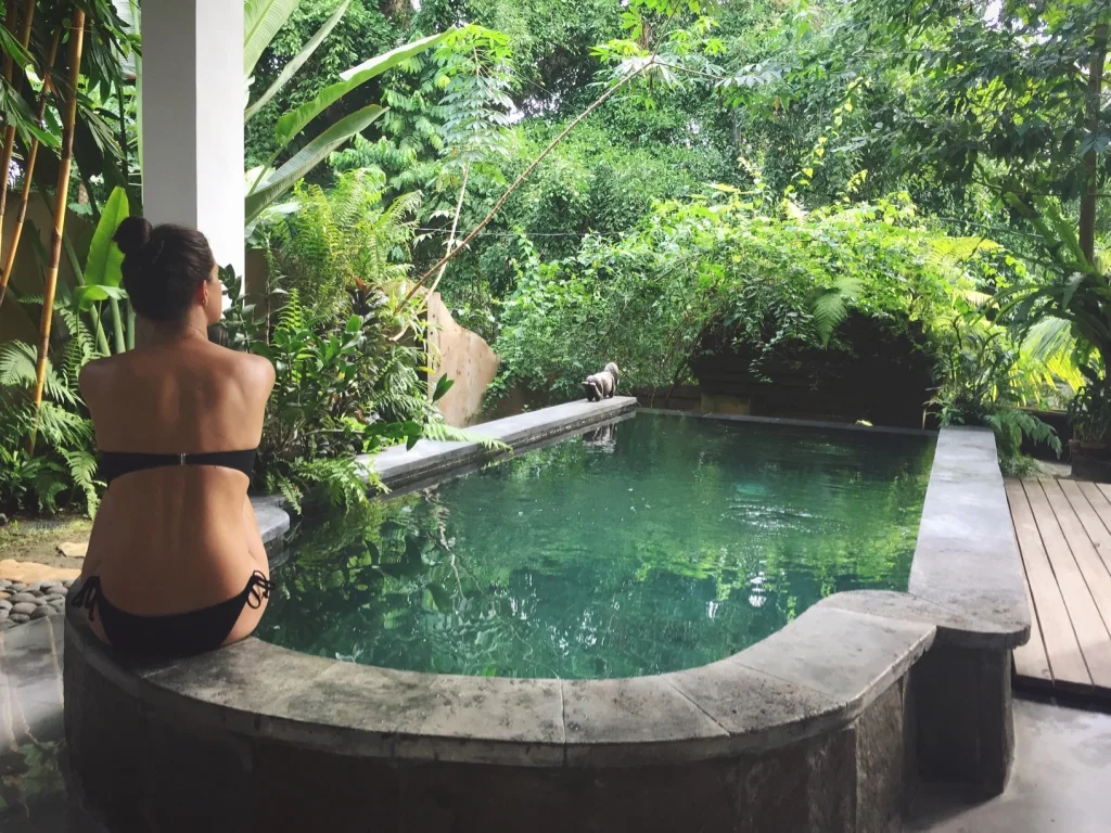 airbnb in penestanan