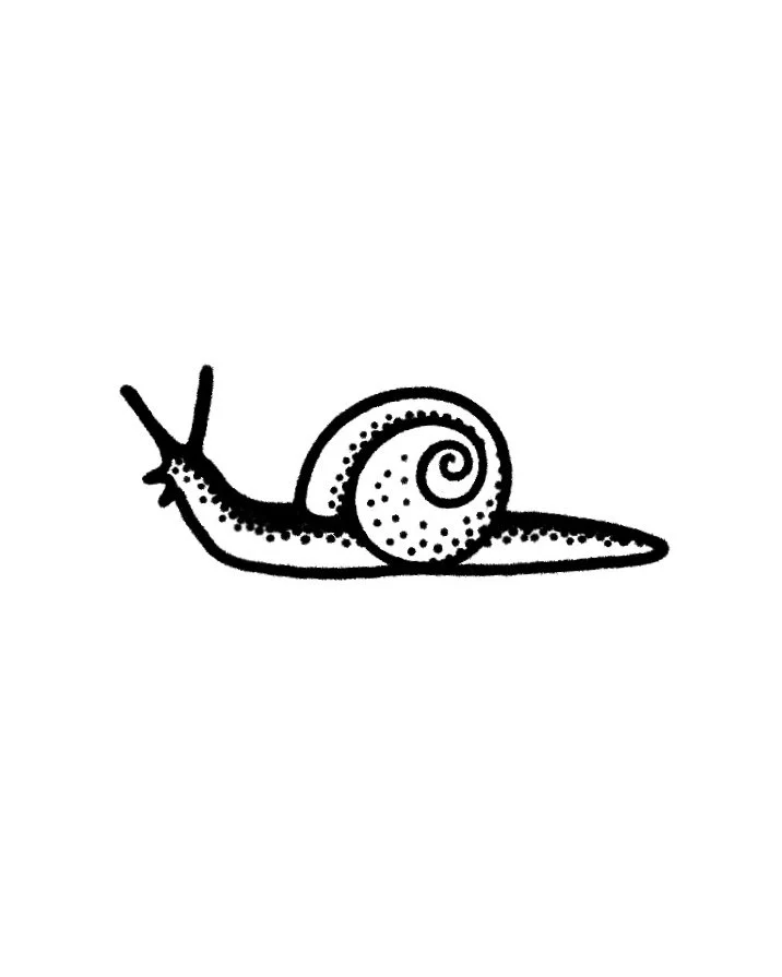 SNAIL no. 1
