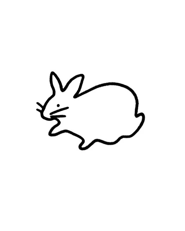 RABBIT