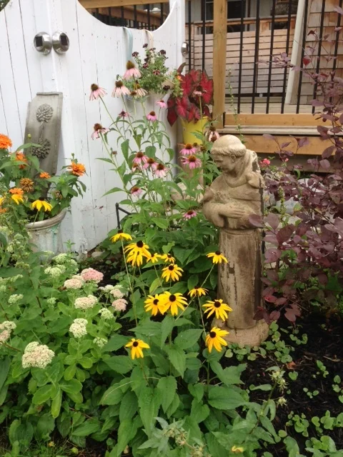 garden.JPG
