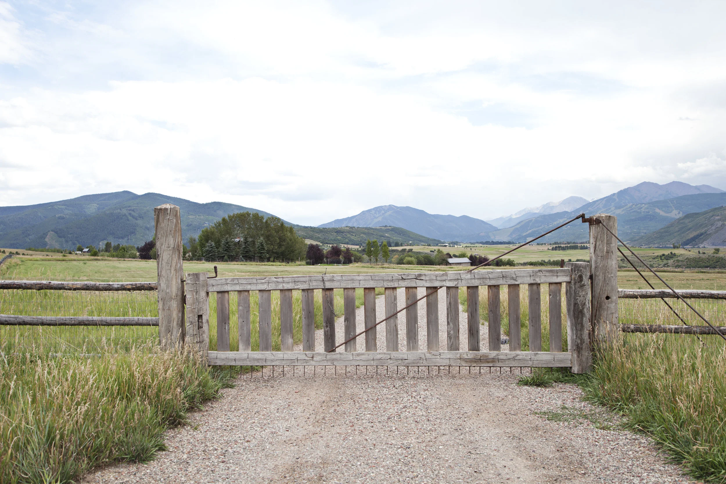 chaparral_7785.jpg
