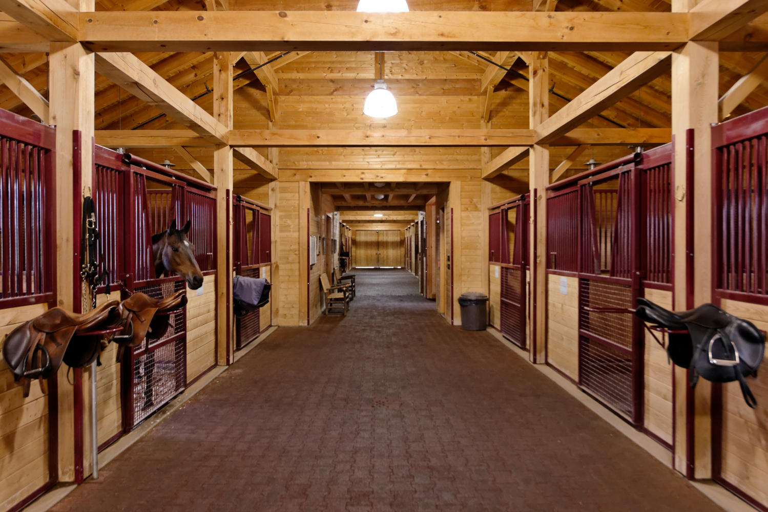 Chaparral Ranch Woody Creek CO-large-026-Chaparral Ranch-1500x1000-72dpi.jpg