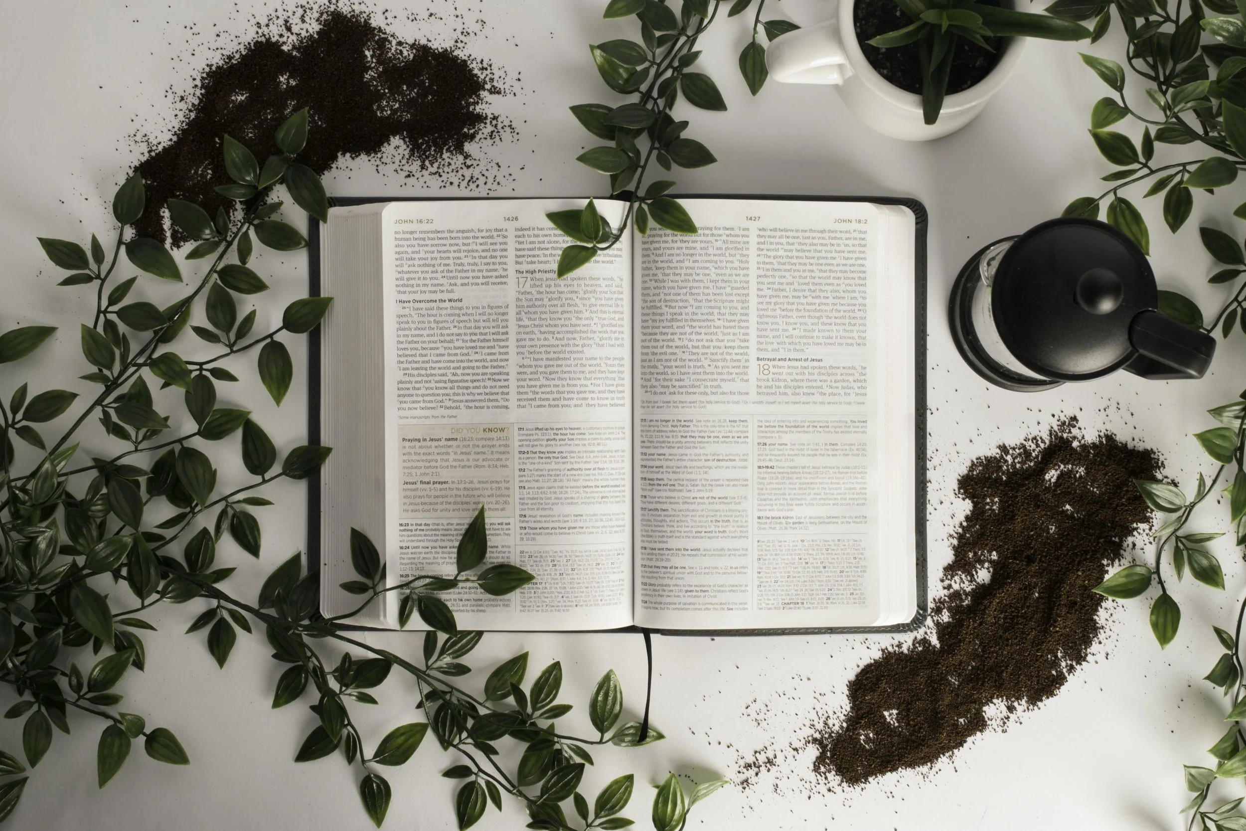 Salt and Light