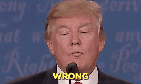 giphy-9.gif