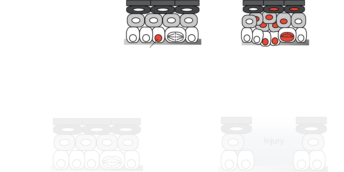 Cancer Page Correction.png