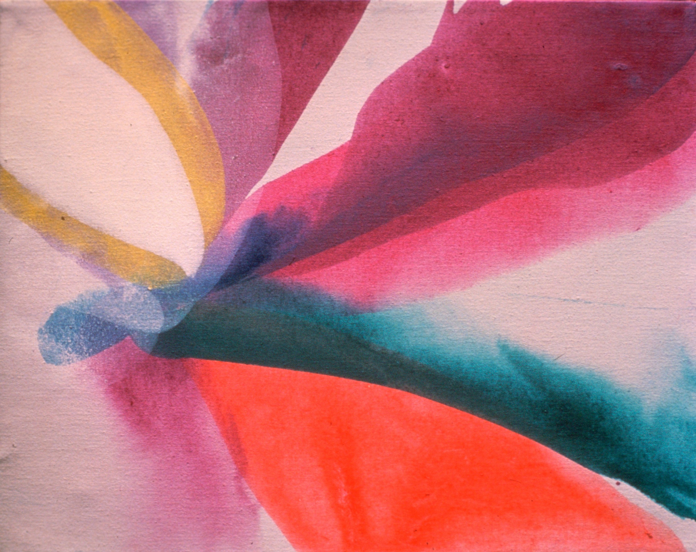 5eec981c-cbfb-403a-8789-7d0d035ef58e_0.7500x.jpg