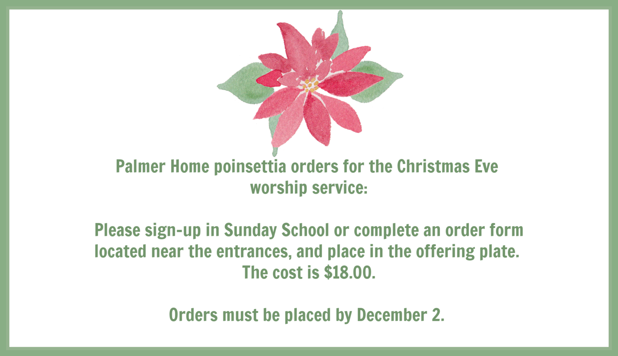 poinsettia.png