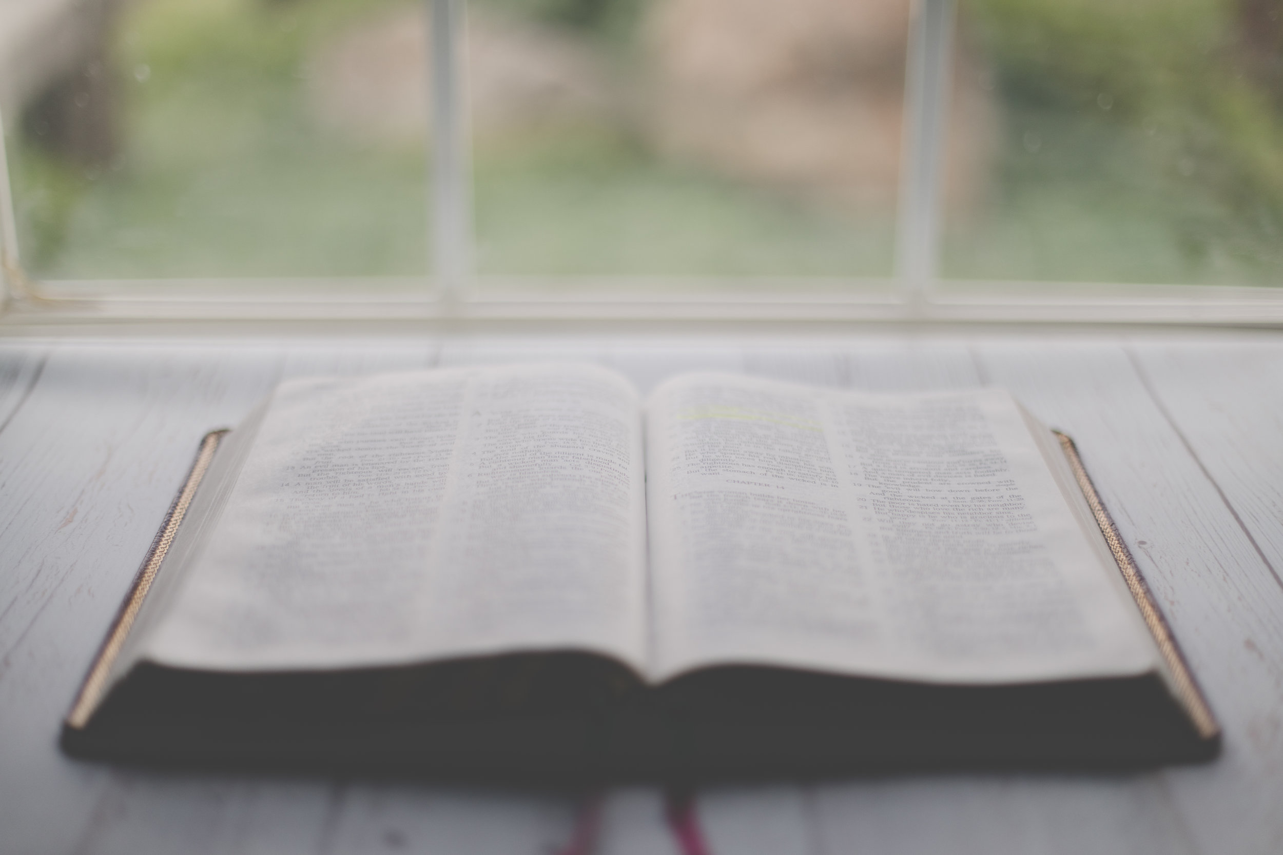 If The Bible Is The Word Of God, What Should We Do With It?