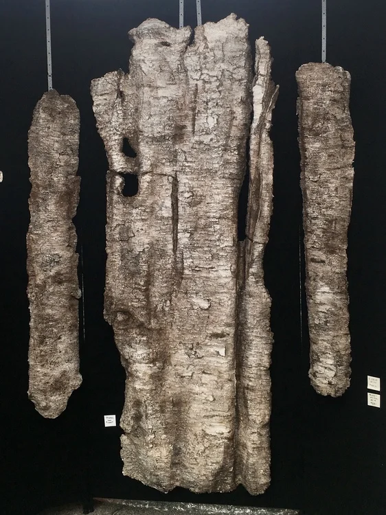 Rebecca Kay, 2018 BEST OF SCULPTURE