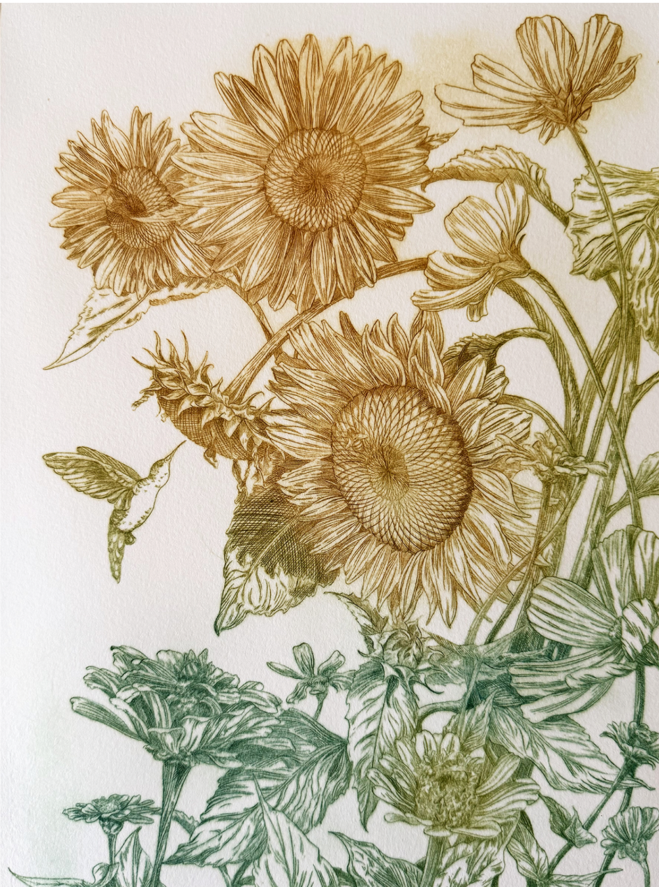 Tina Druce-Hoffman