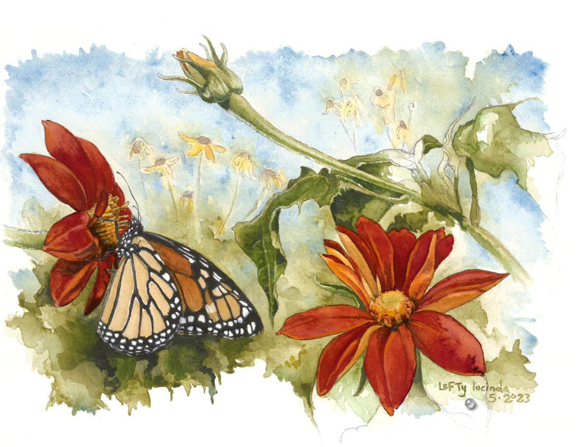 Lucinda Troester