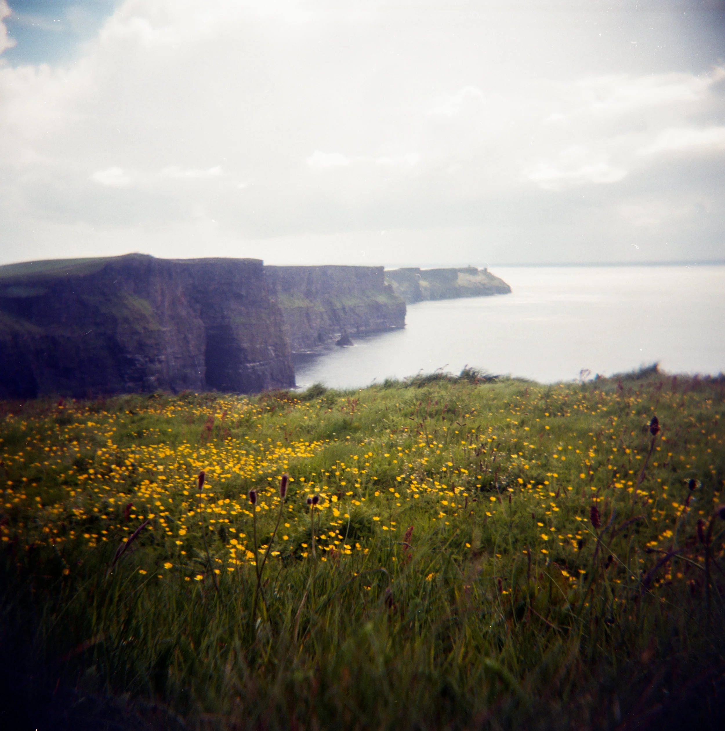 img307-3.jpg