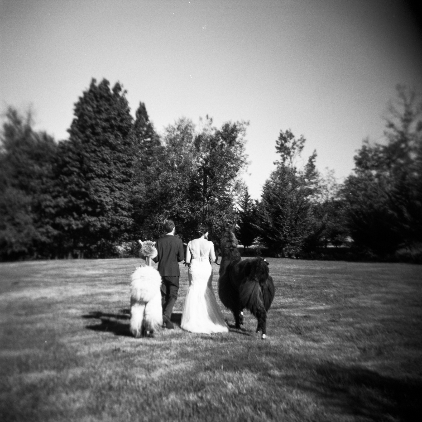 pdxweddingphotography-4.jpg