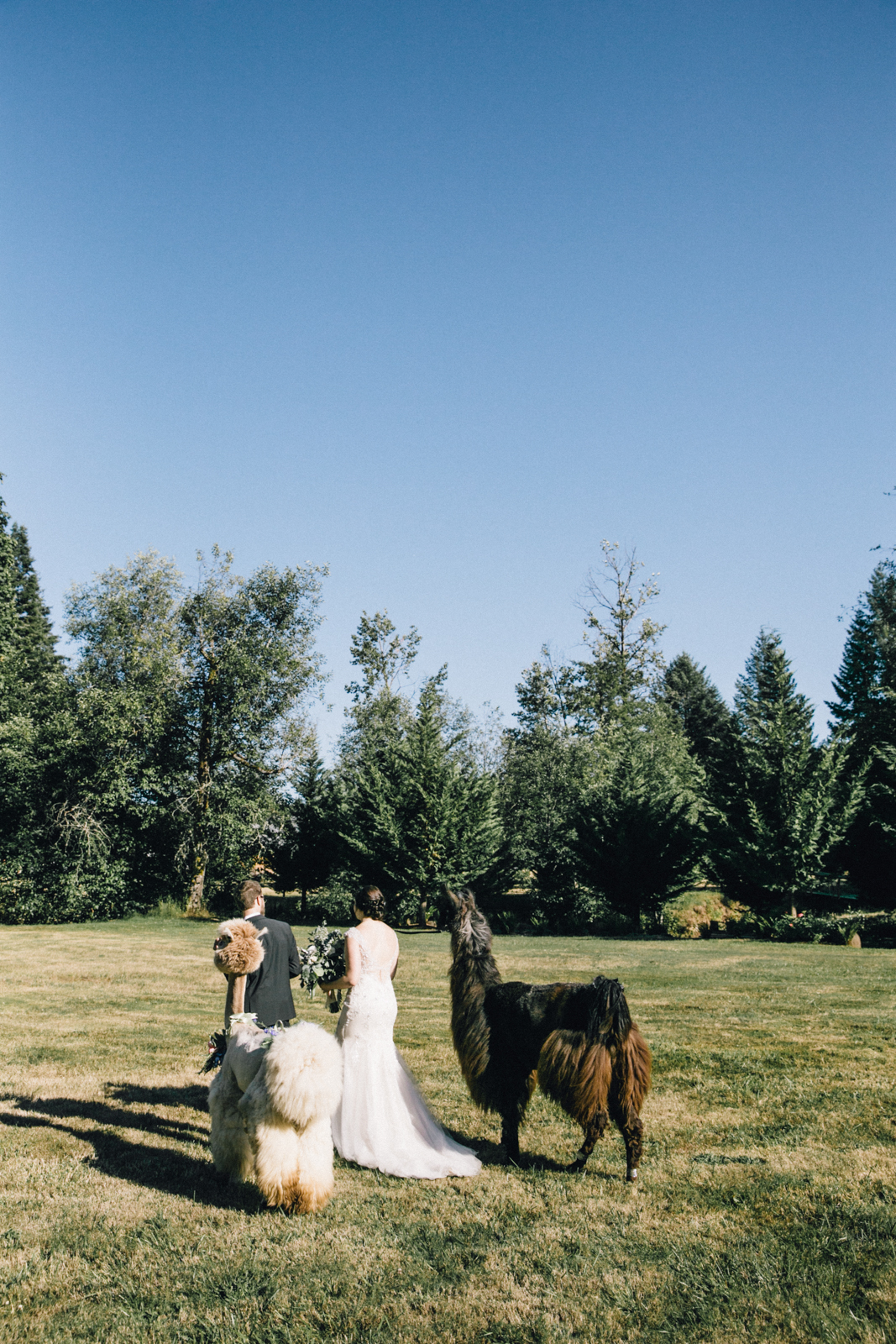 pdxweddingphotography-188.jpg