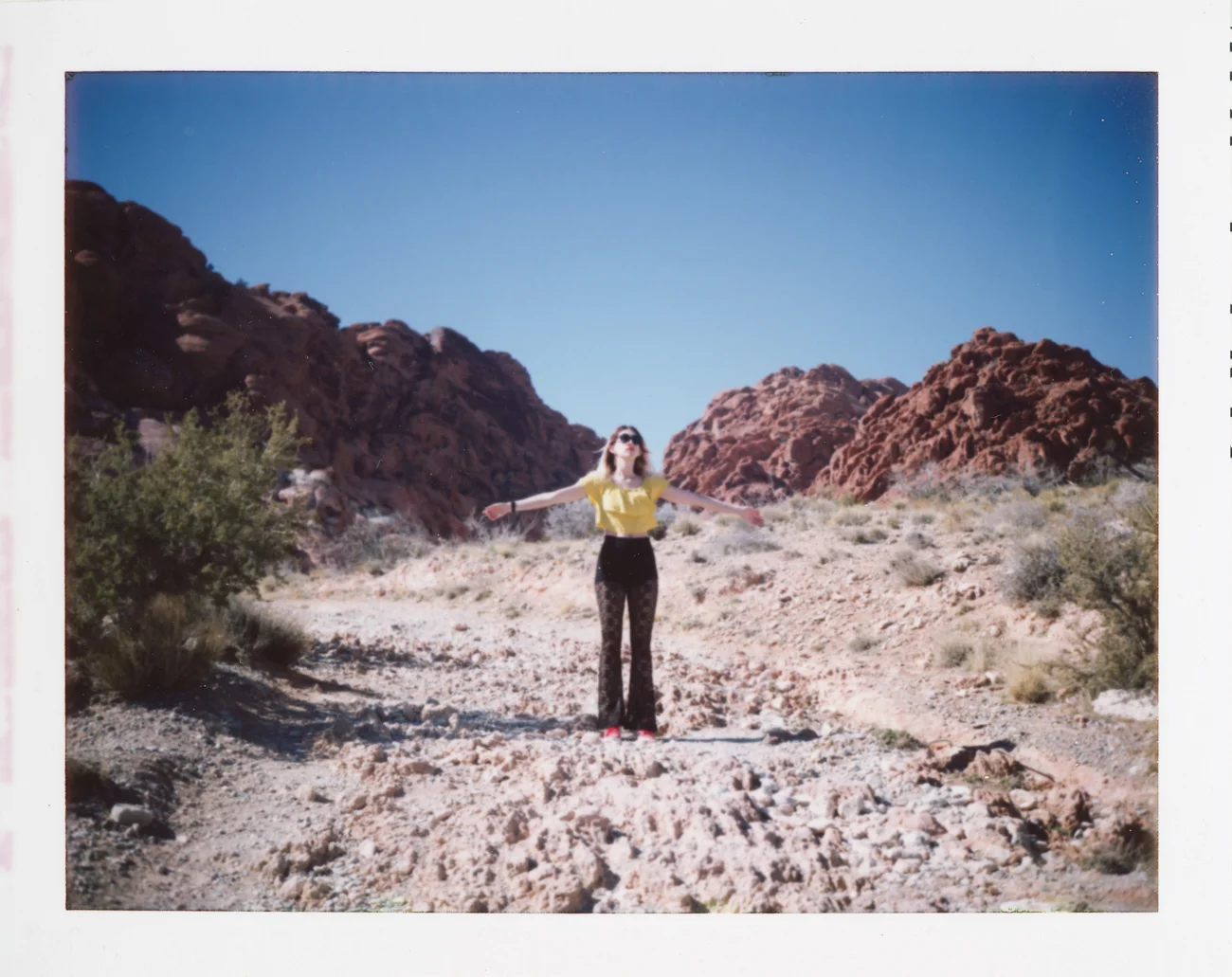 polaroidlandcamera-22.jpg