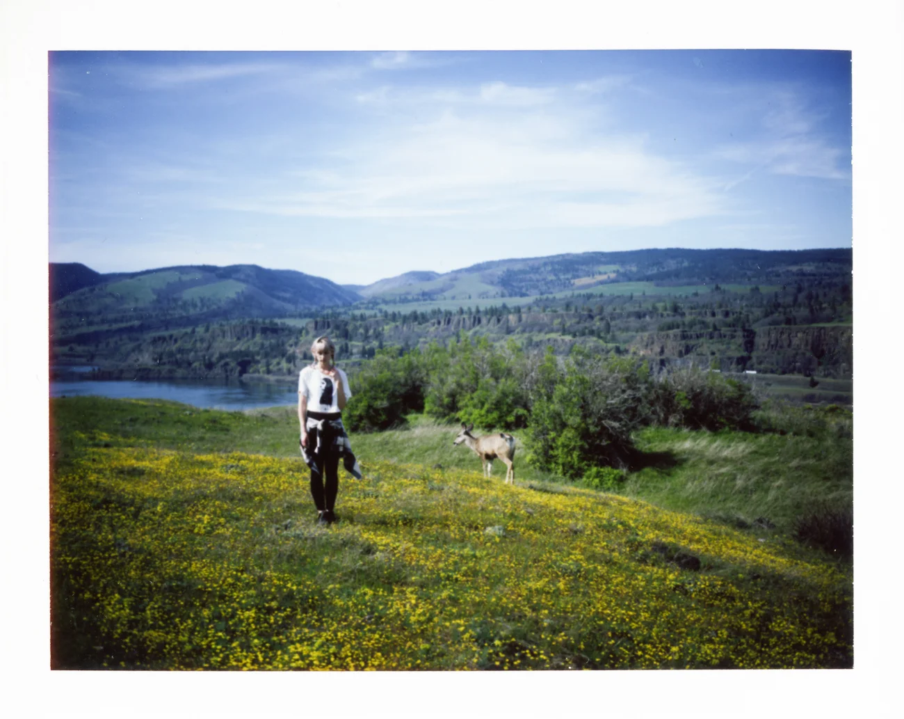 polaroidlandcamera-33.jpg