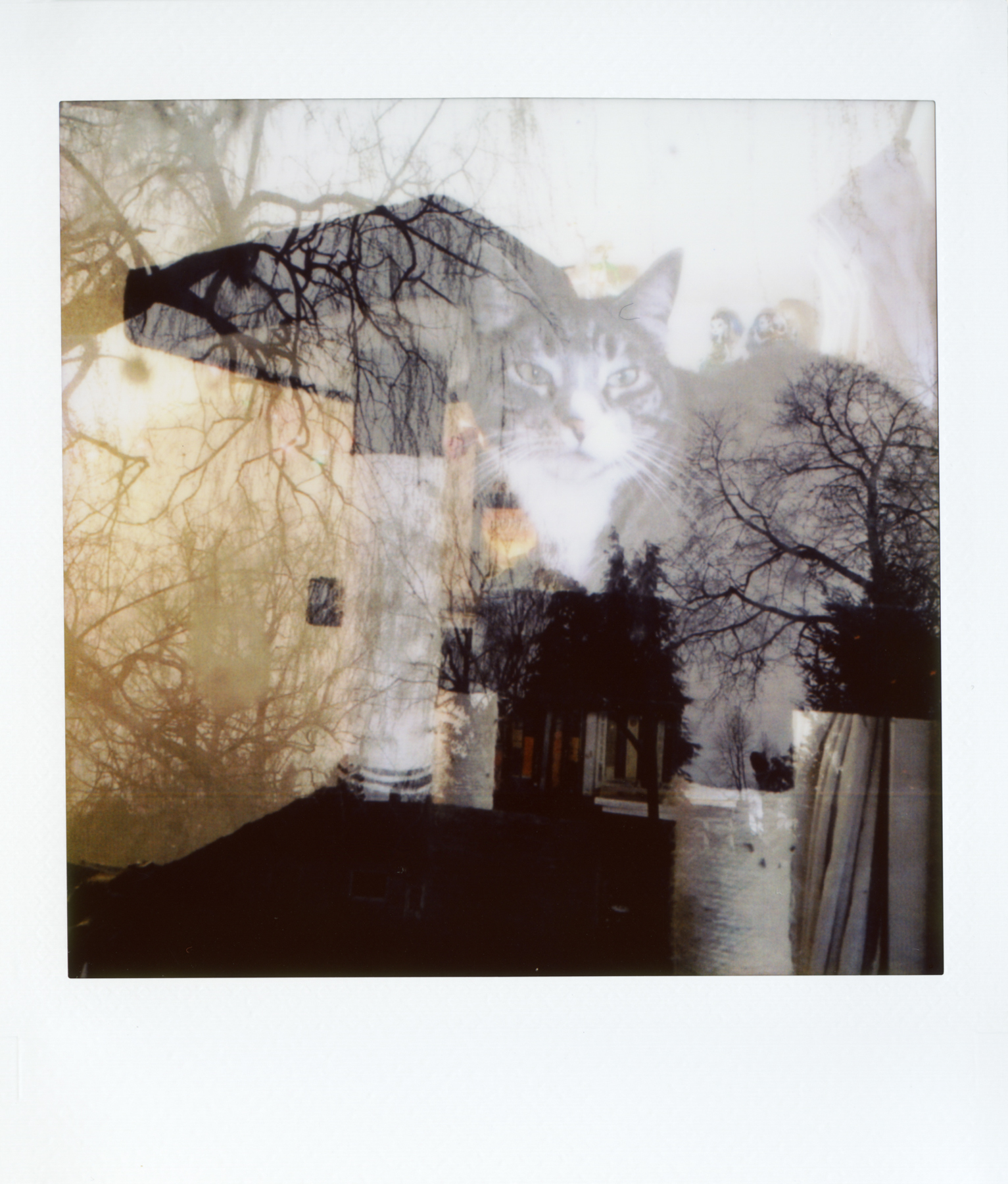 instaxsquaresq10samples-7.jpg