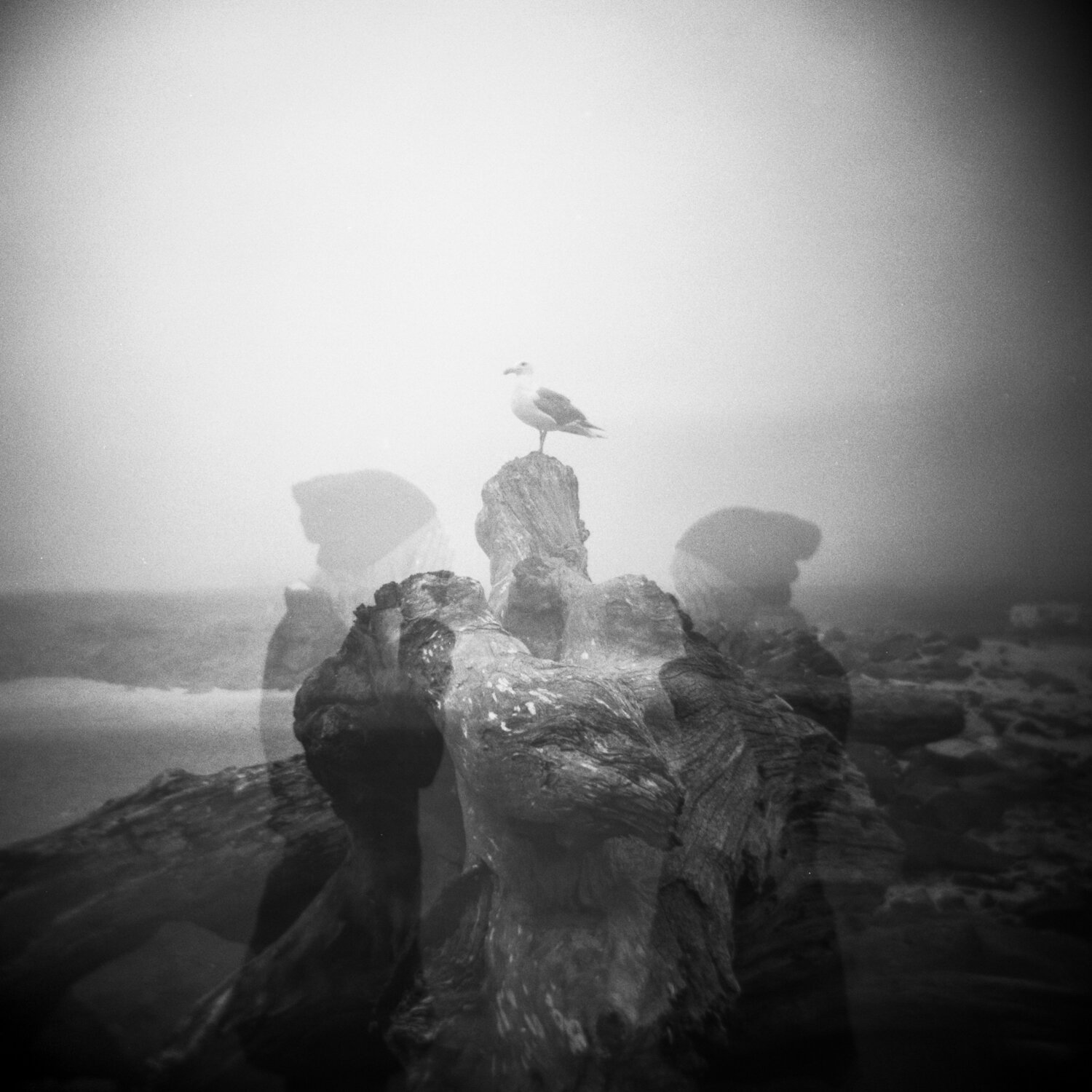 holga120samplephotos-28.jpg