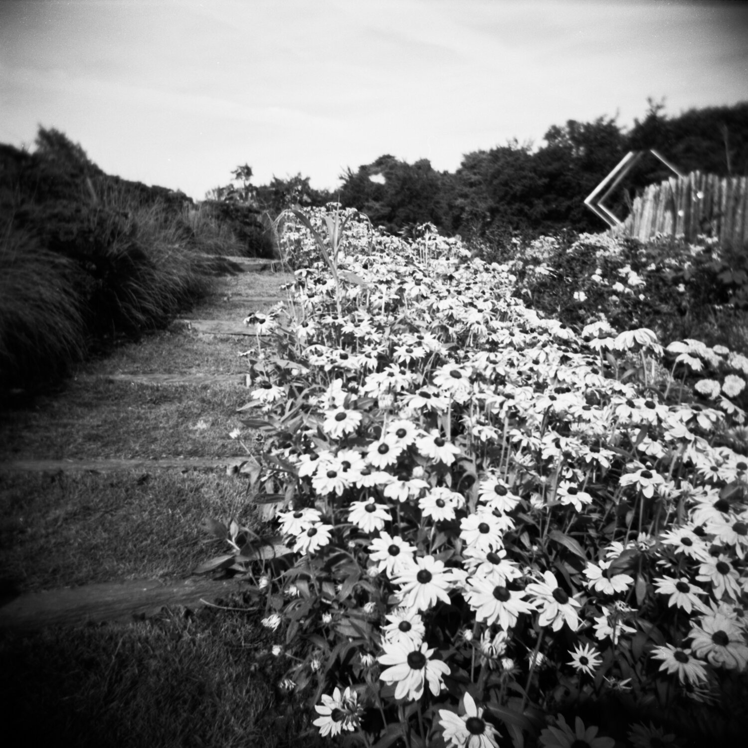 holga120samplephotos-34.jpg