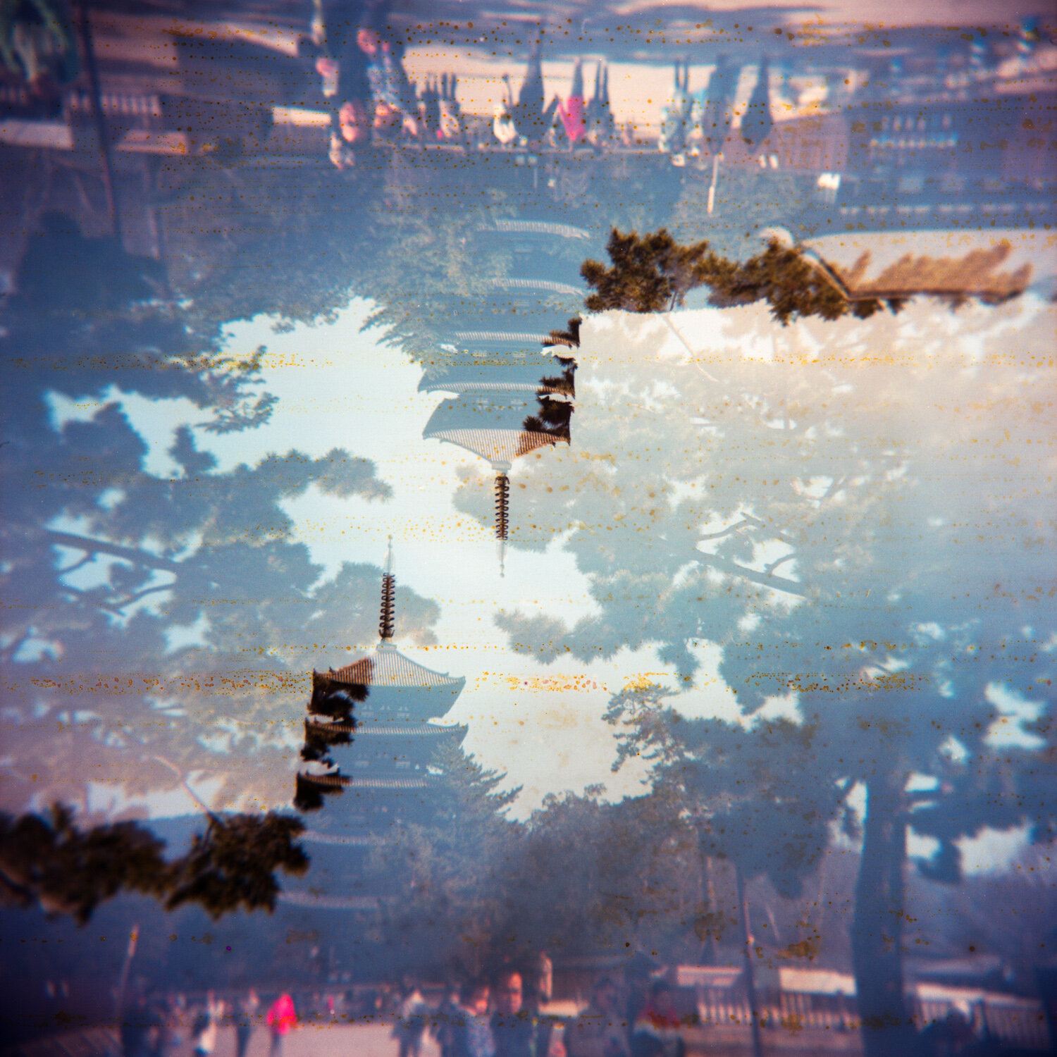 holga120samplephotos-63.jpg