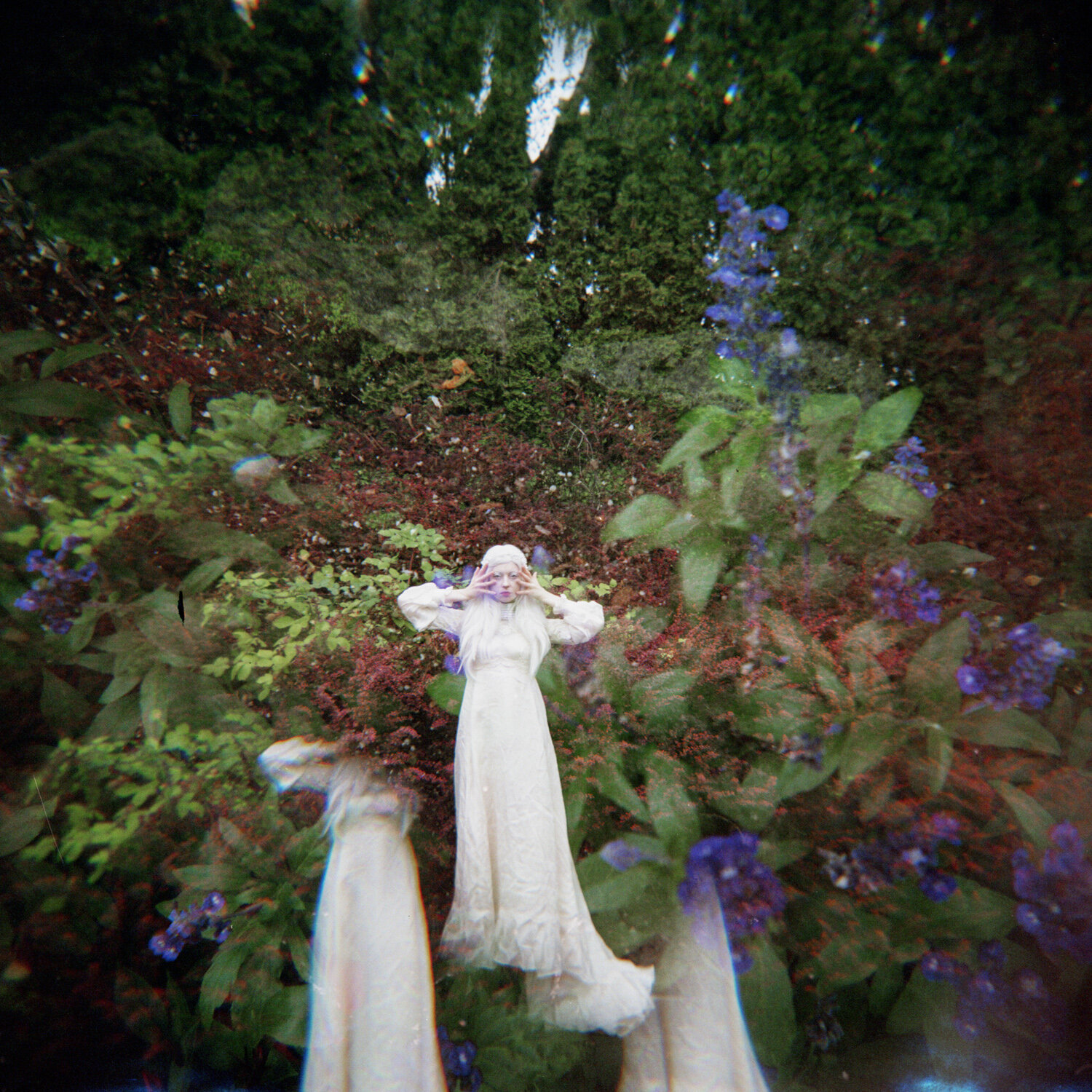 holga120samplephotos-73.jpg