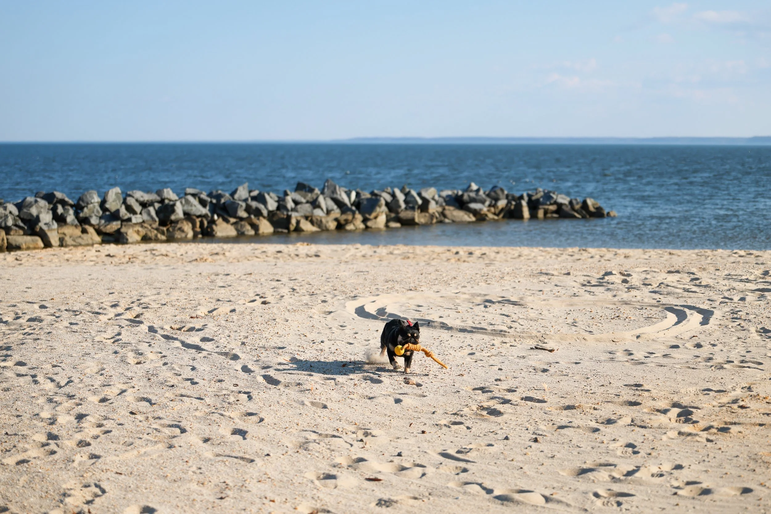 canon r6 mark iii review and sample photos canon rf 28-70mm f-2.8 L IS STM lens-69.jpg