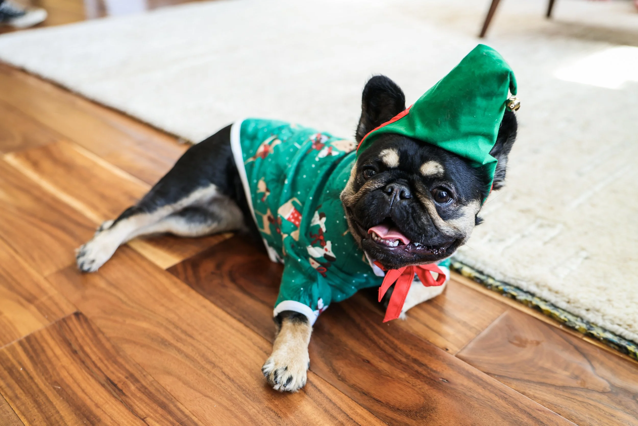 canon r6 mark iii review and sample photos canon rf 28-70mm f-2.8 L IS STM lens-6.jpg