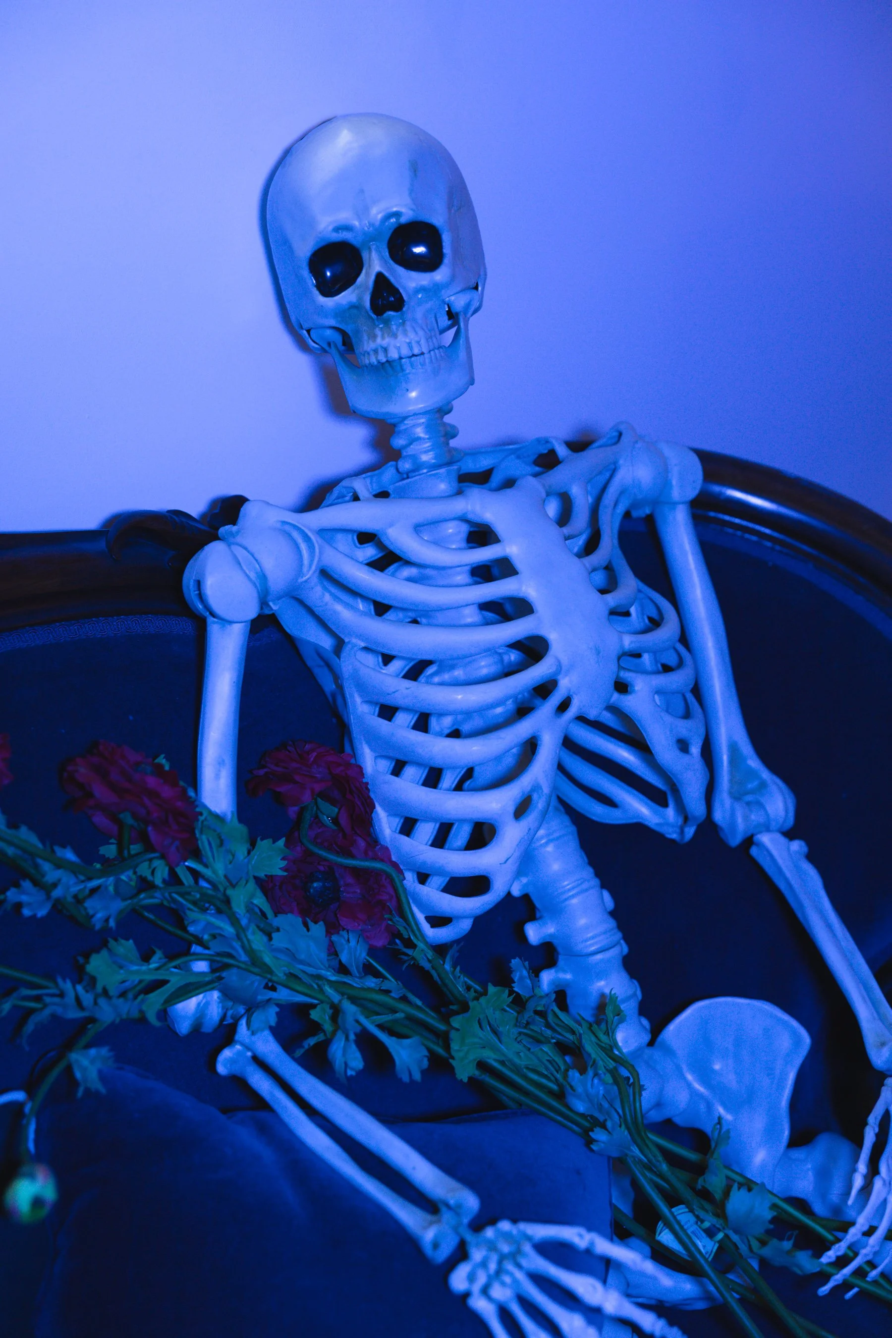 oki mochi light review best on camera travel light for photography and videography-21.jpg