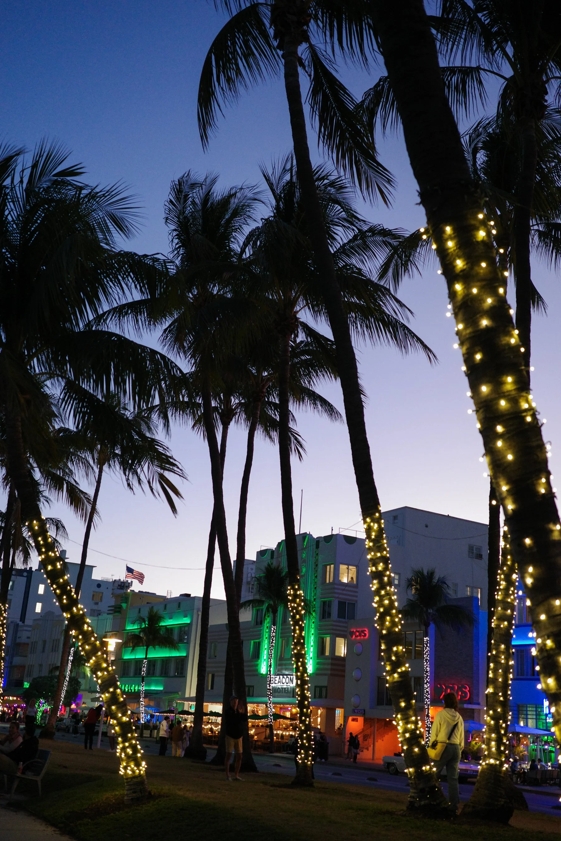 ricoh gr iiix review and comparison with sony rx 100 vii sample photos-69.jpg