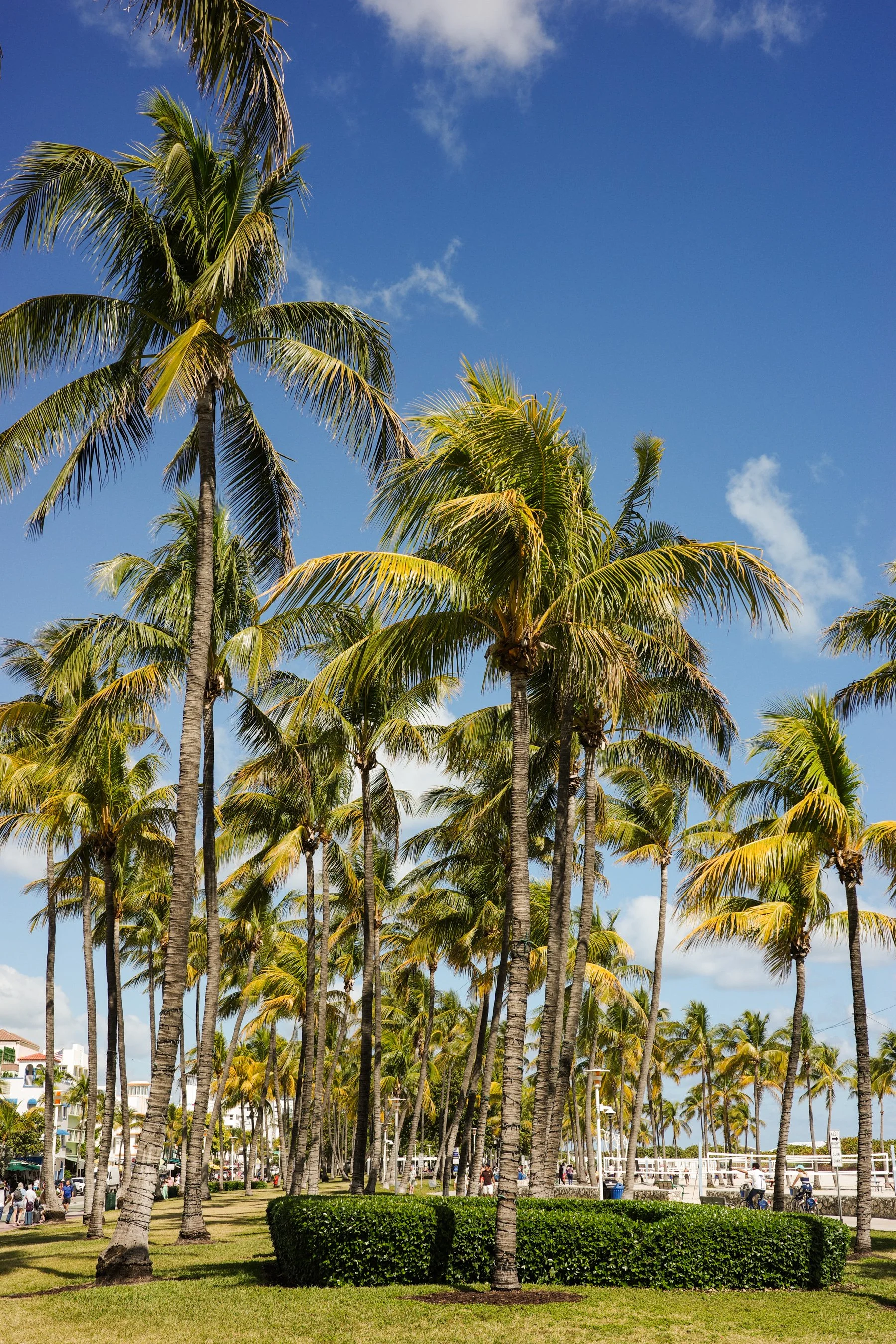 ricoh gr iiix review and comparison with sony rx 100 vii sample photos-5.jpg