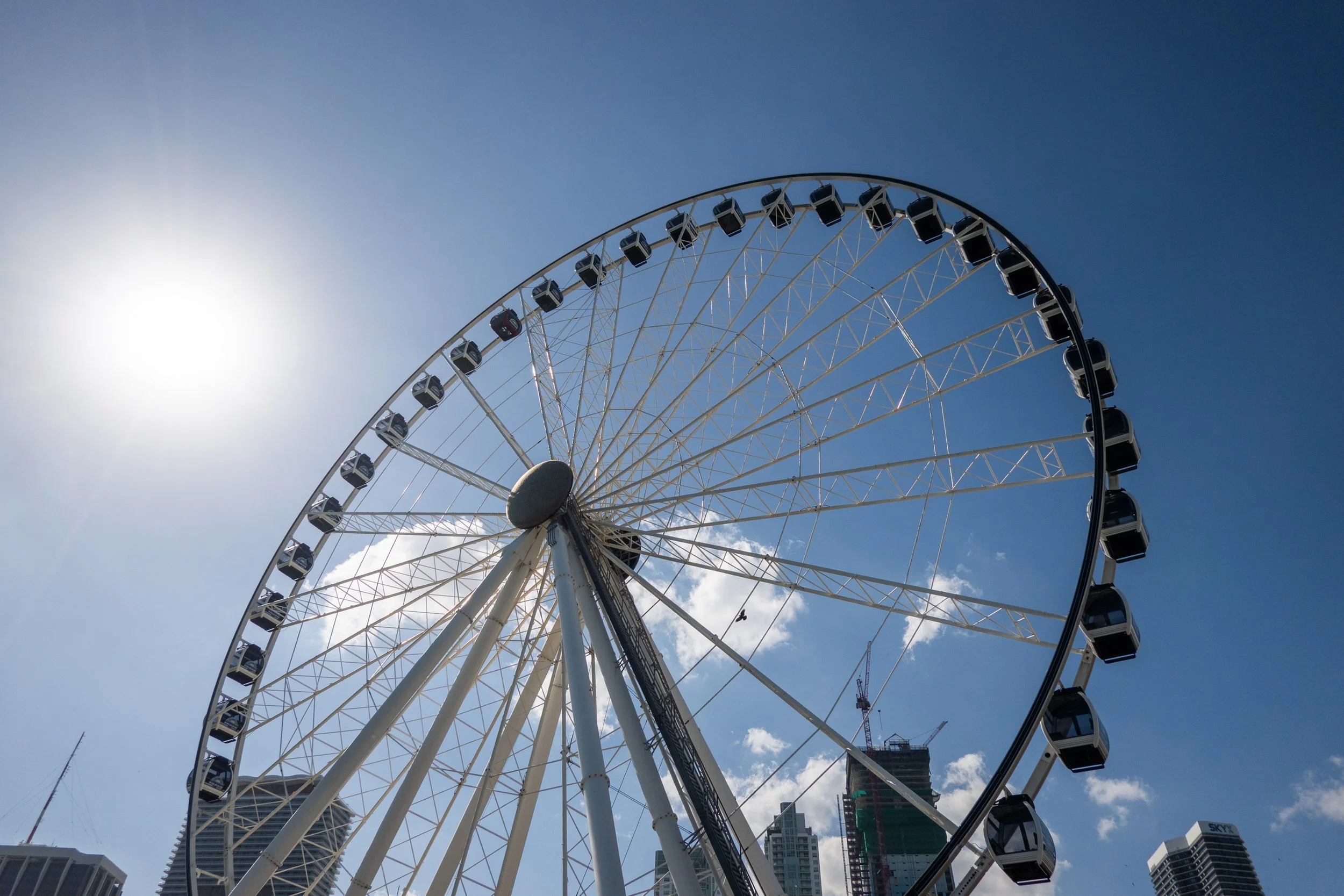 sony rx 100 vii review with sample photos vs ricoh gr iiix-231.jpg