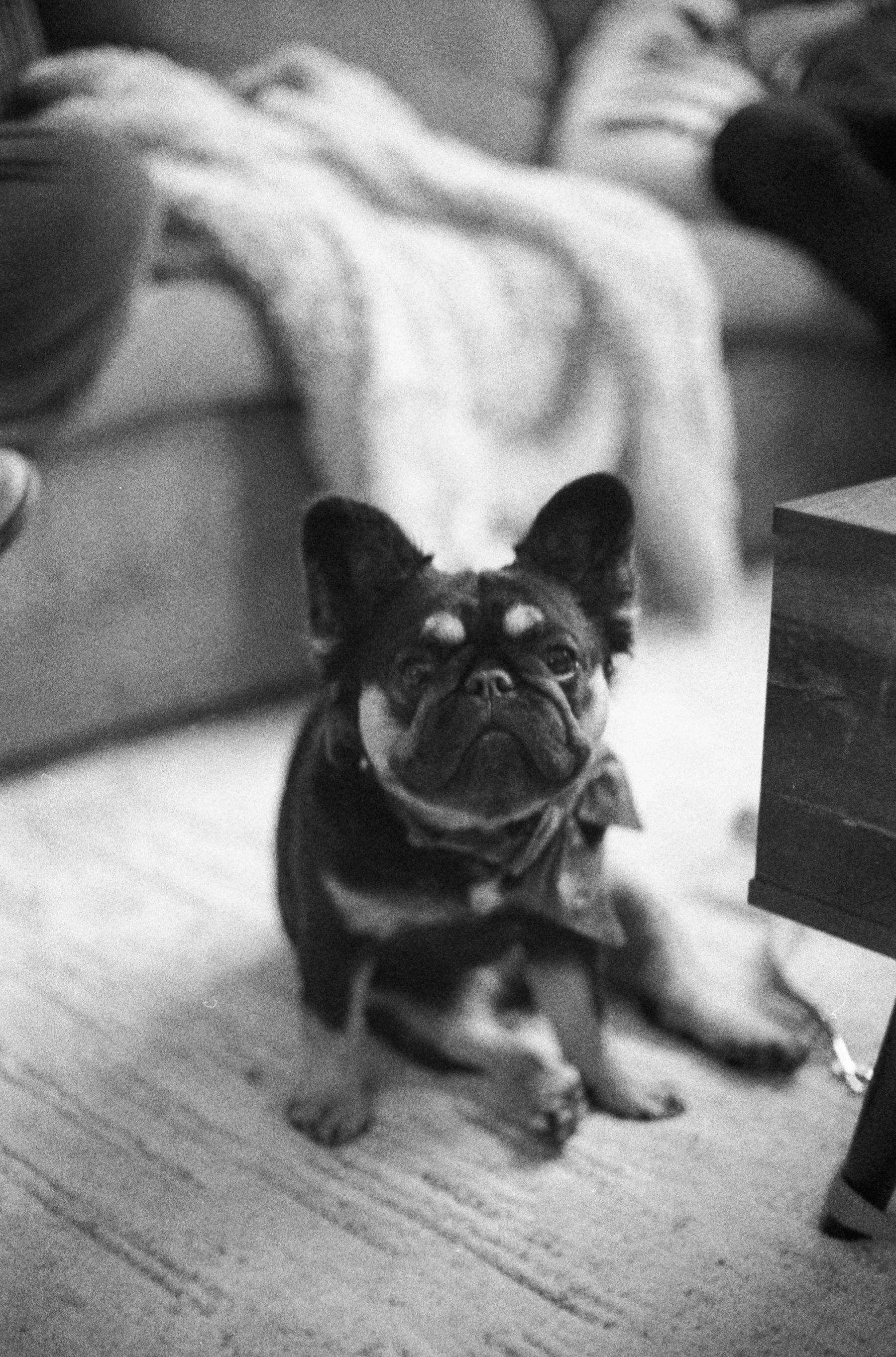 nikonfe2-berlin400-35mm-2.jpg