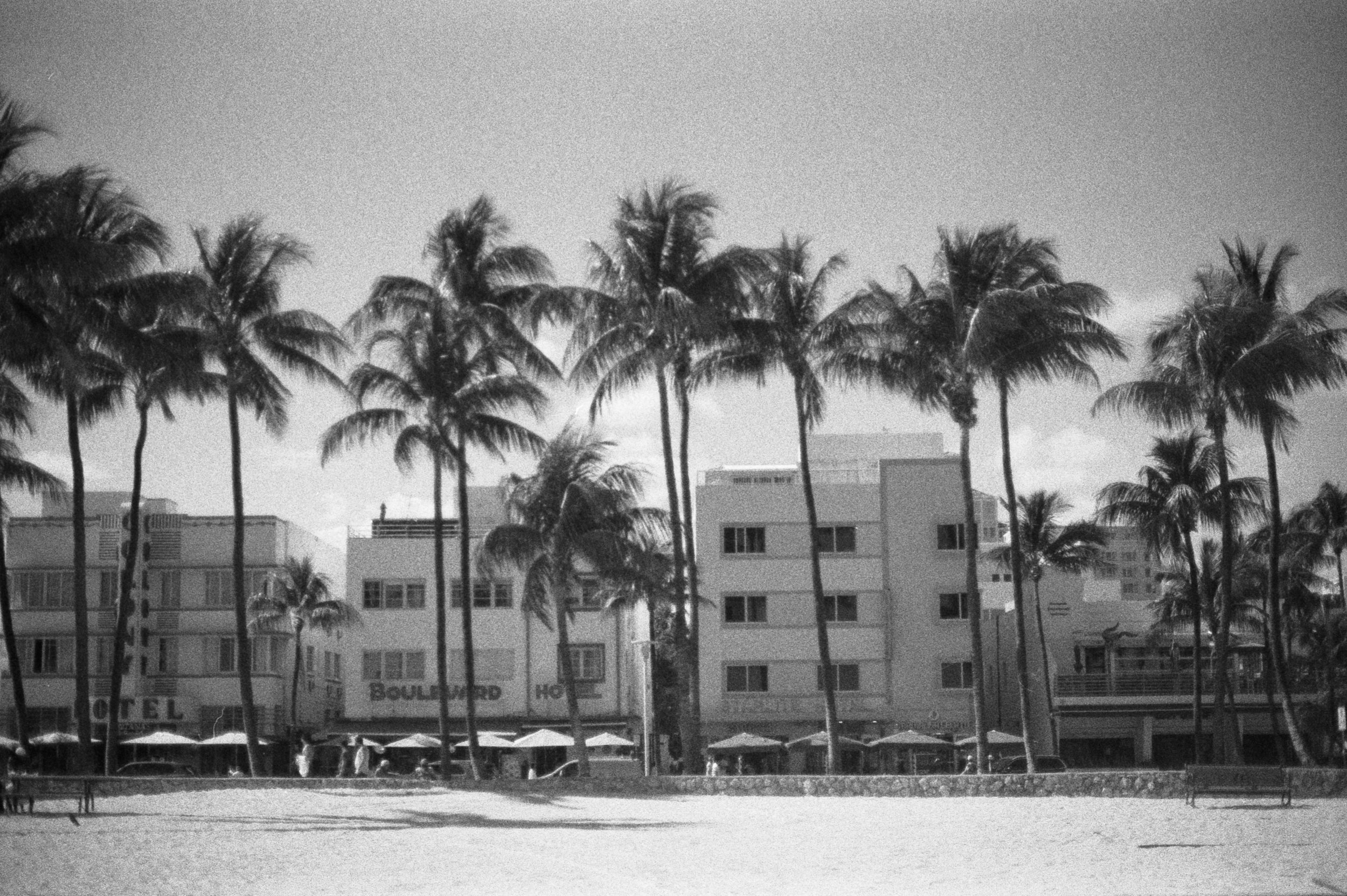 nikonfe2-berlin400-35mm-30.jpg