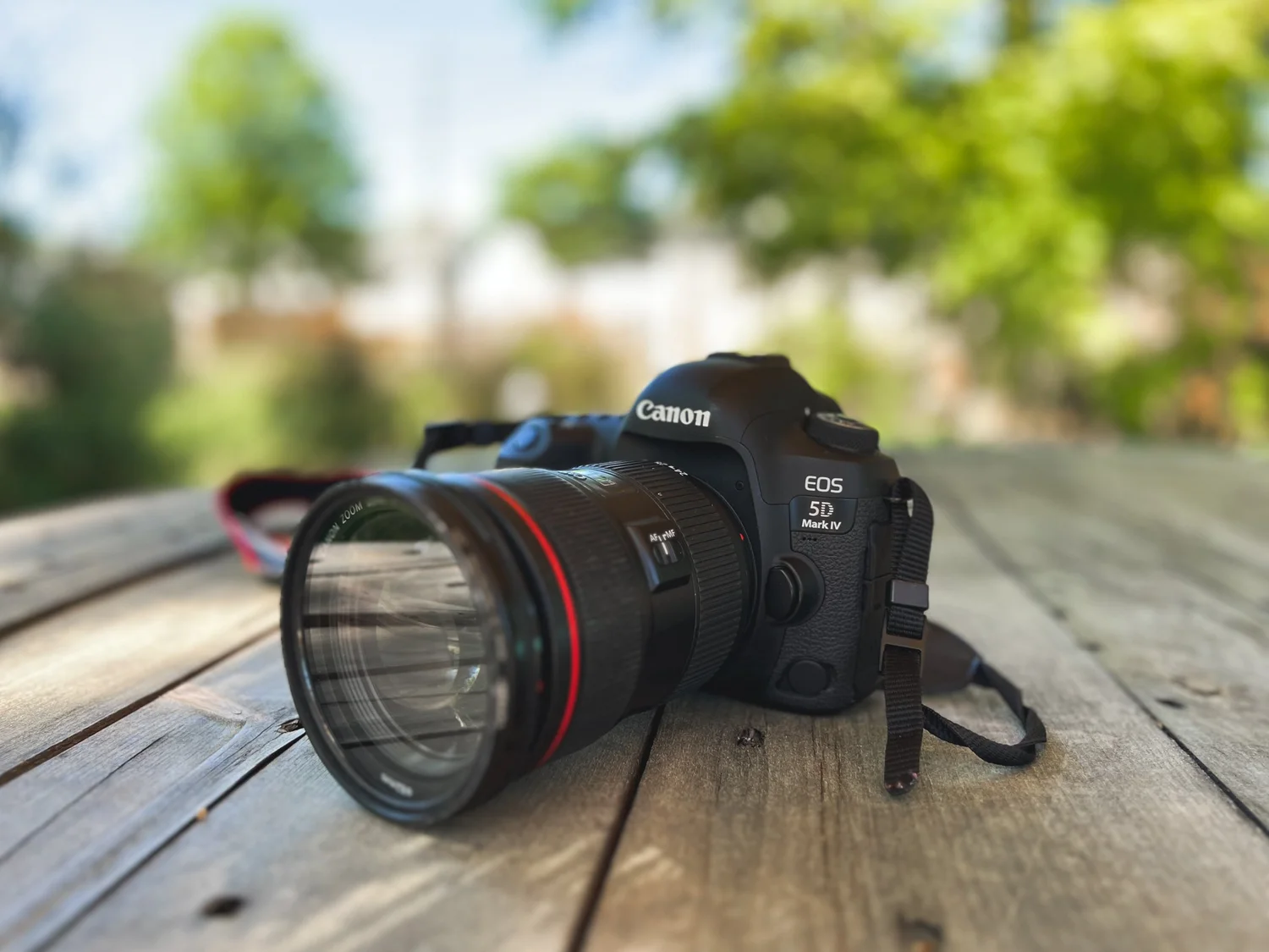 15 Best Digital Cameras for Beginner Photographers under $1500 | Top ...