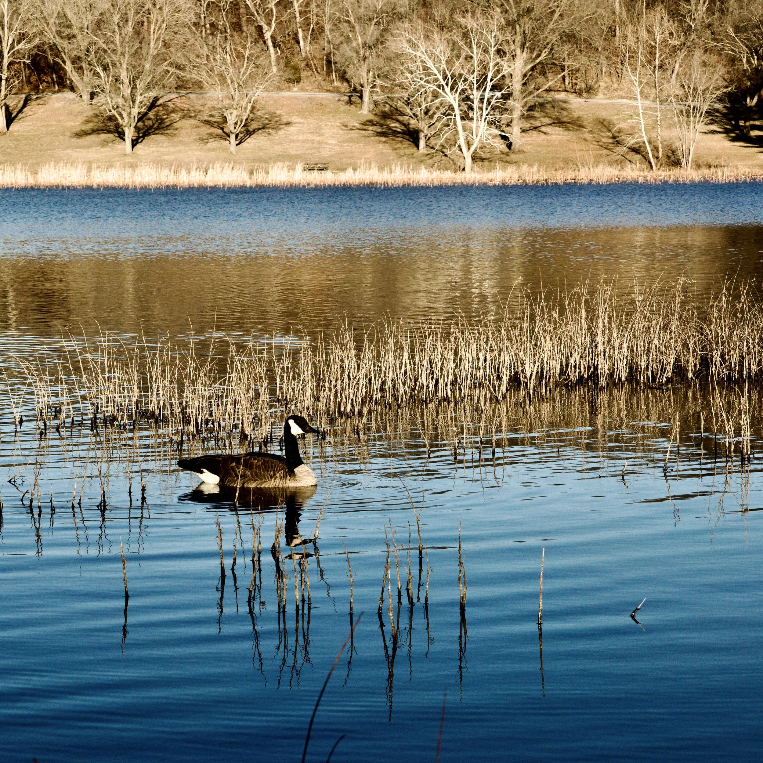 315603F5-302F-4C4B-9C9D-13E2CA9F6E06_1_201_a.jpeg