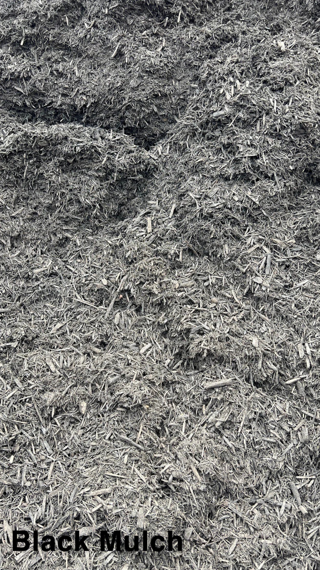black mulch 2.JPG