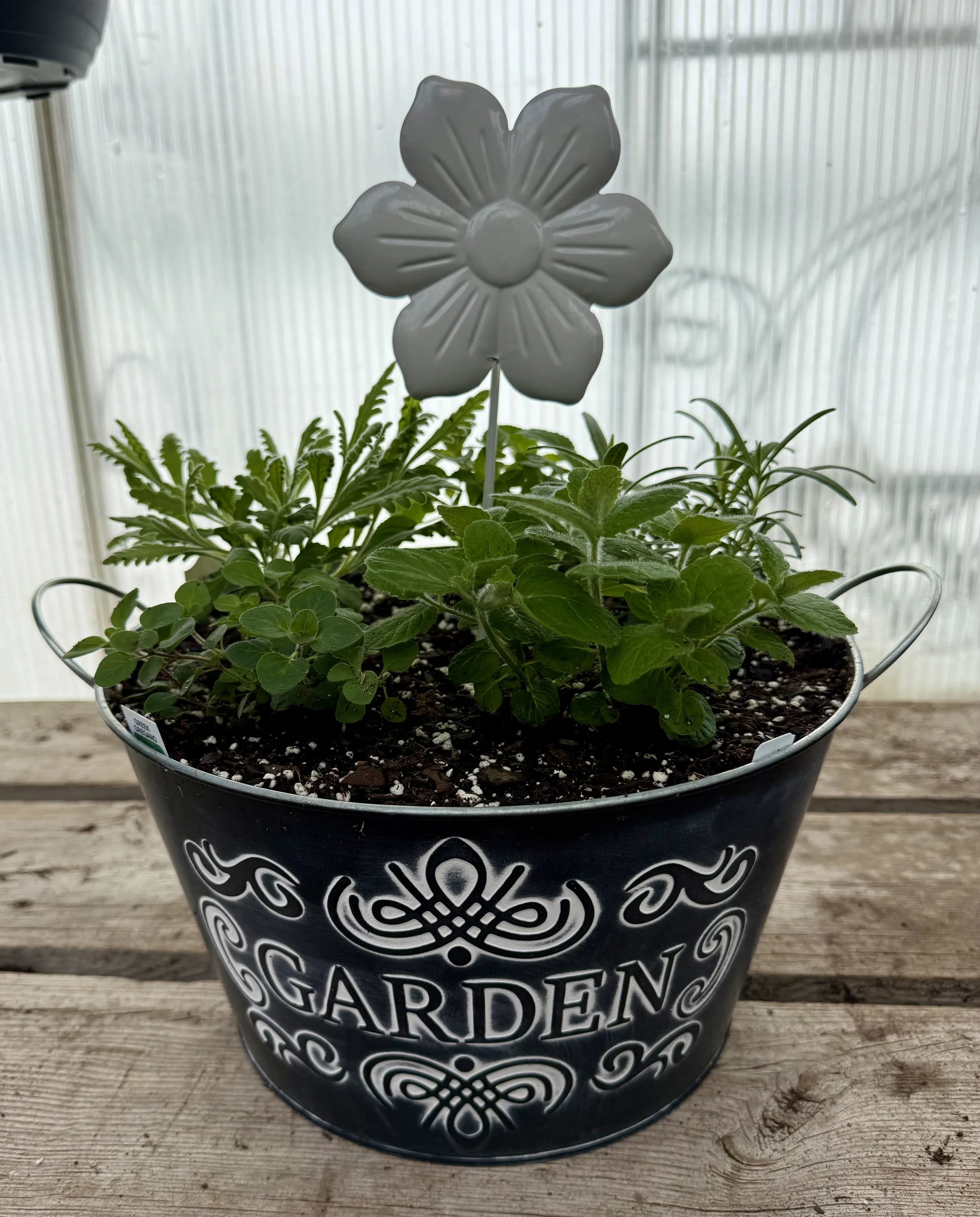 Create Your Own Herb Garden 