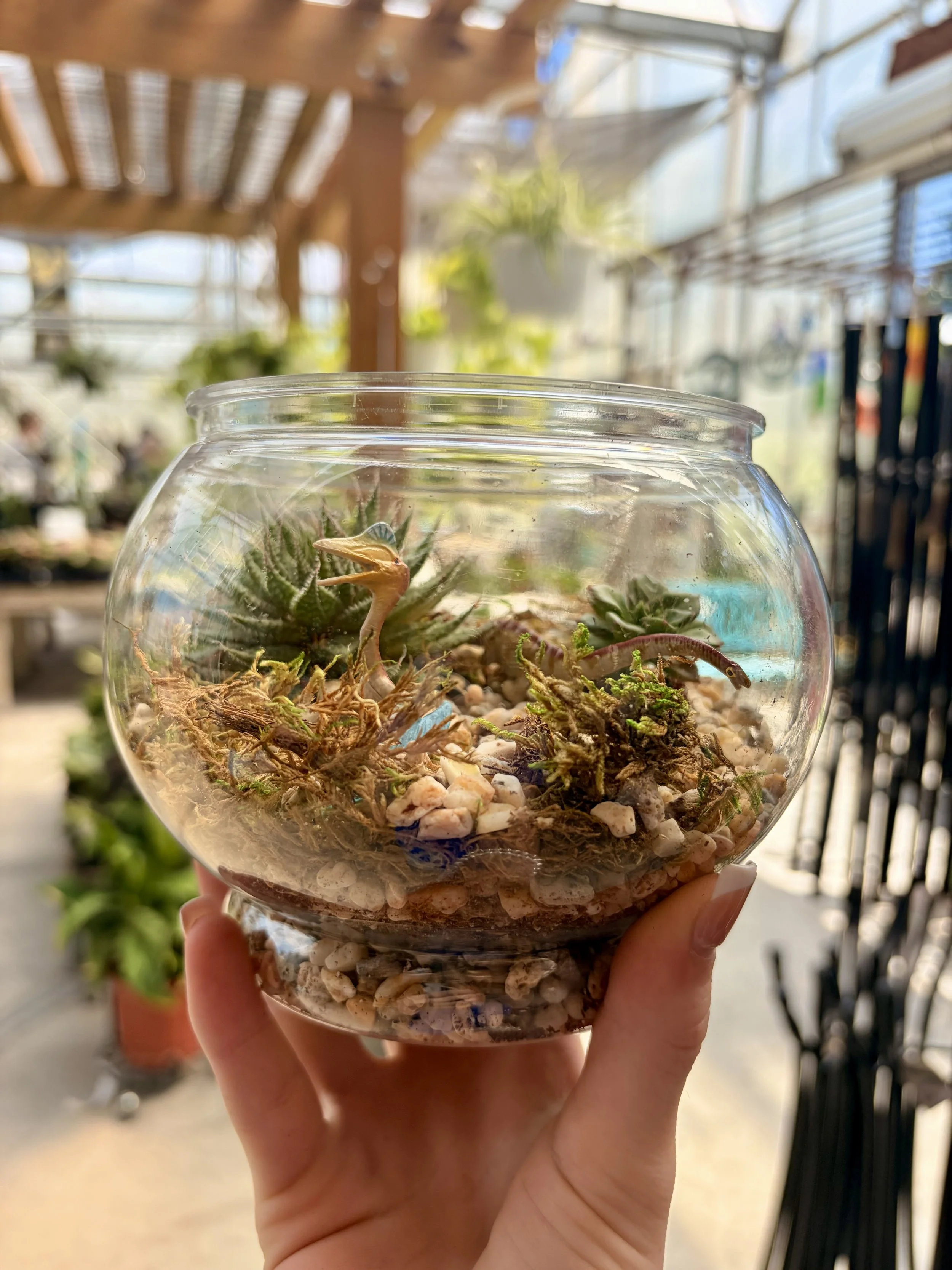 Walk-in Fishbowl Terrarium Class