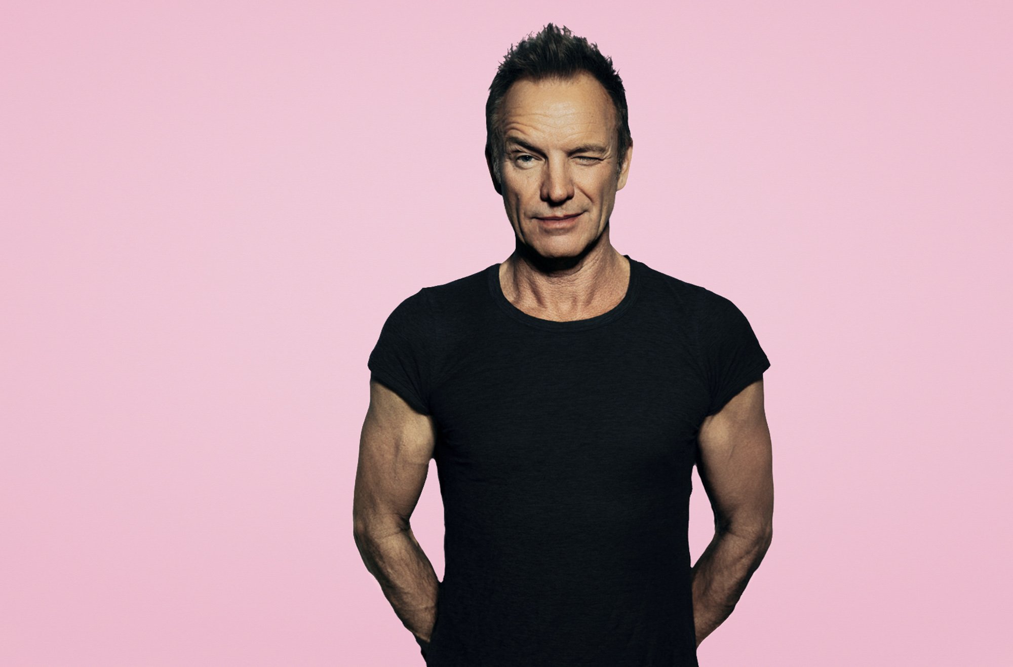 Sting-5.jpg