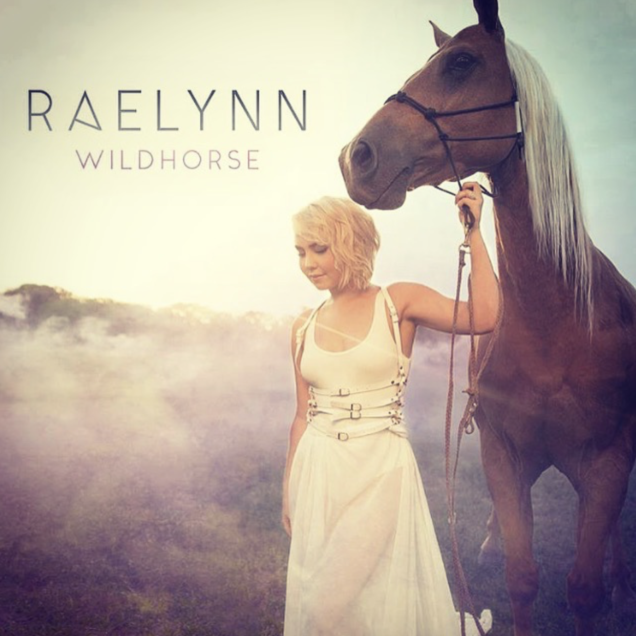 14-Album Packaging.png